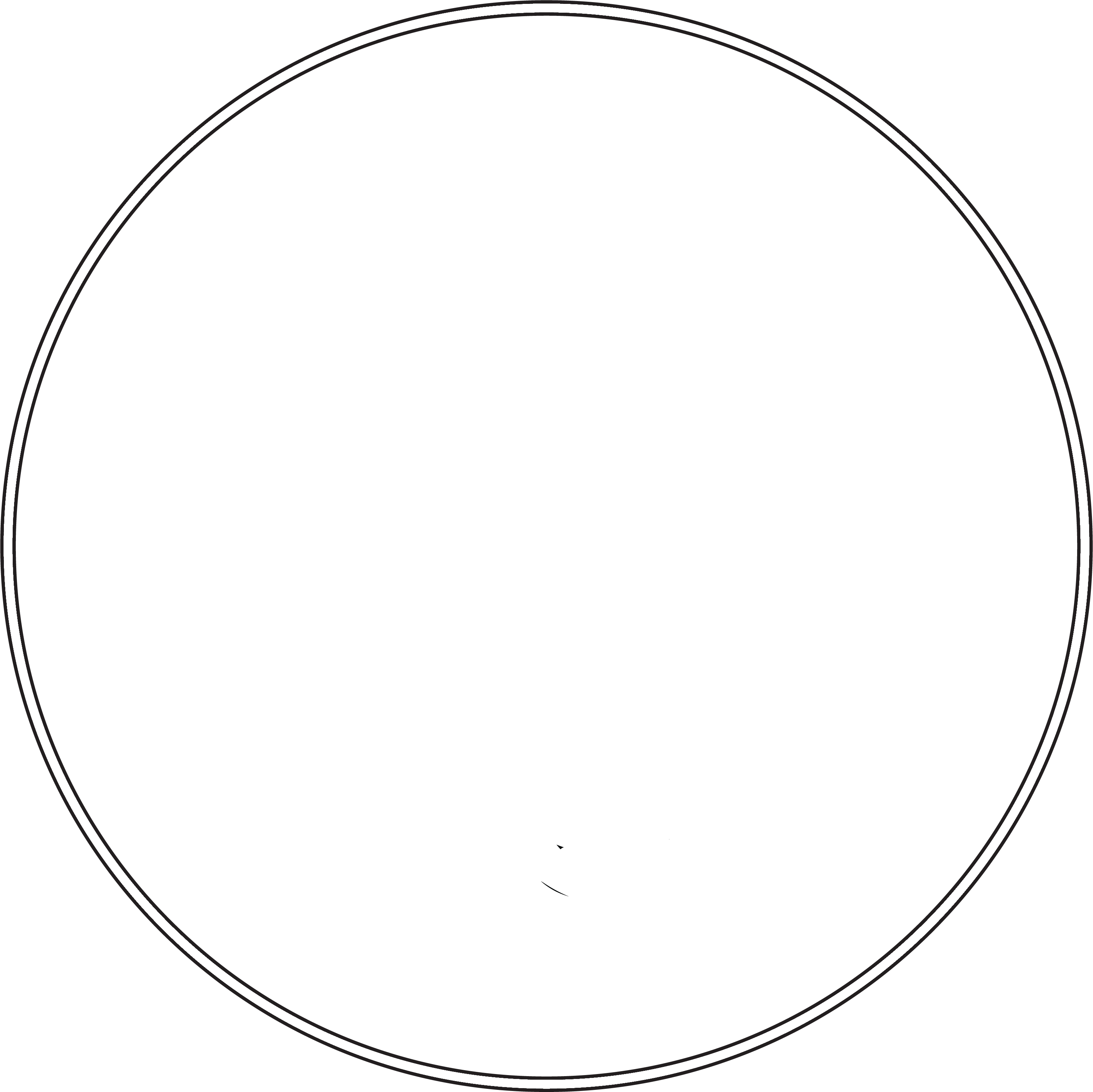 Vanguard Adjusting LLC